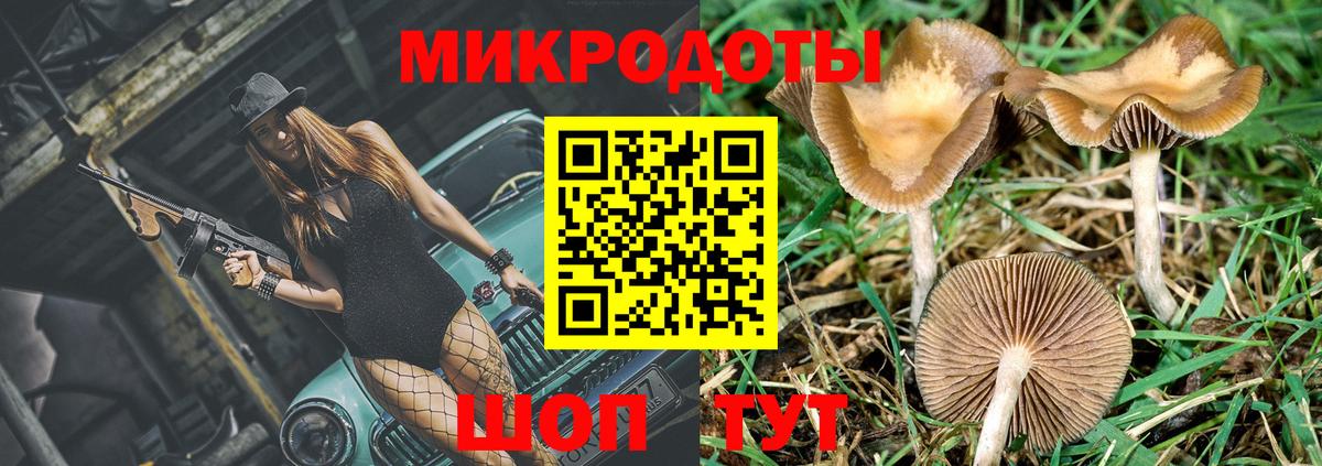 Псилоцибиновые грибы ЛСД Озёрск